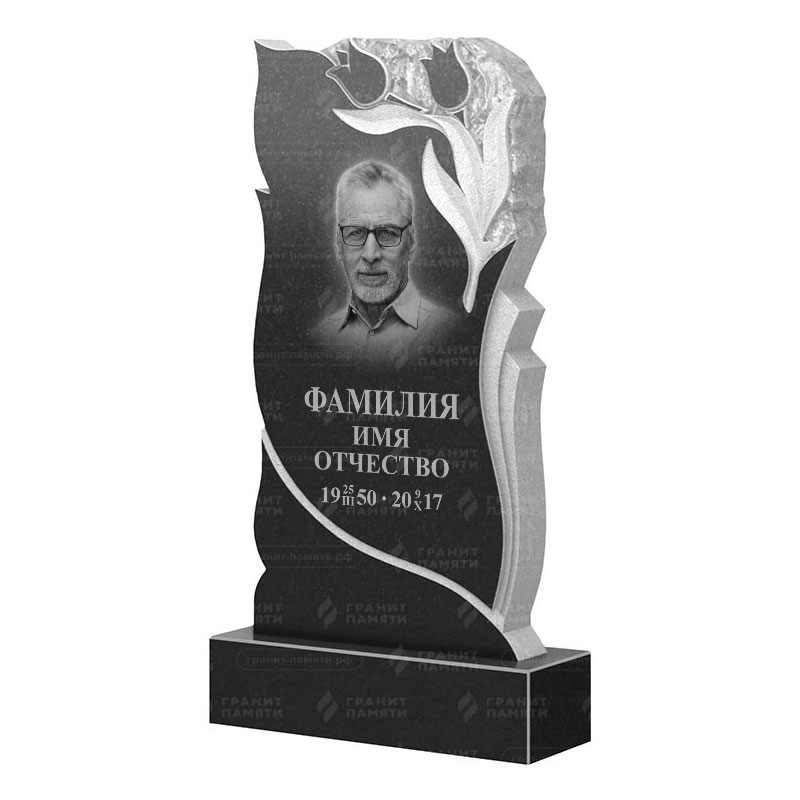 Гранитные памятники в Новосибирске | Гранитный памятник ФГ-223