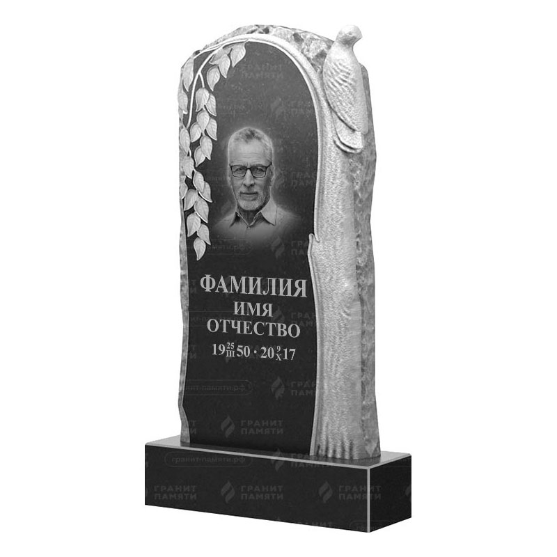 Гранитные памятники в Новосибирске | Гранитный памятник ФГ-206