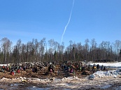 Западное кладбище